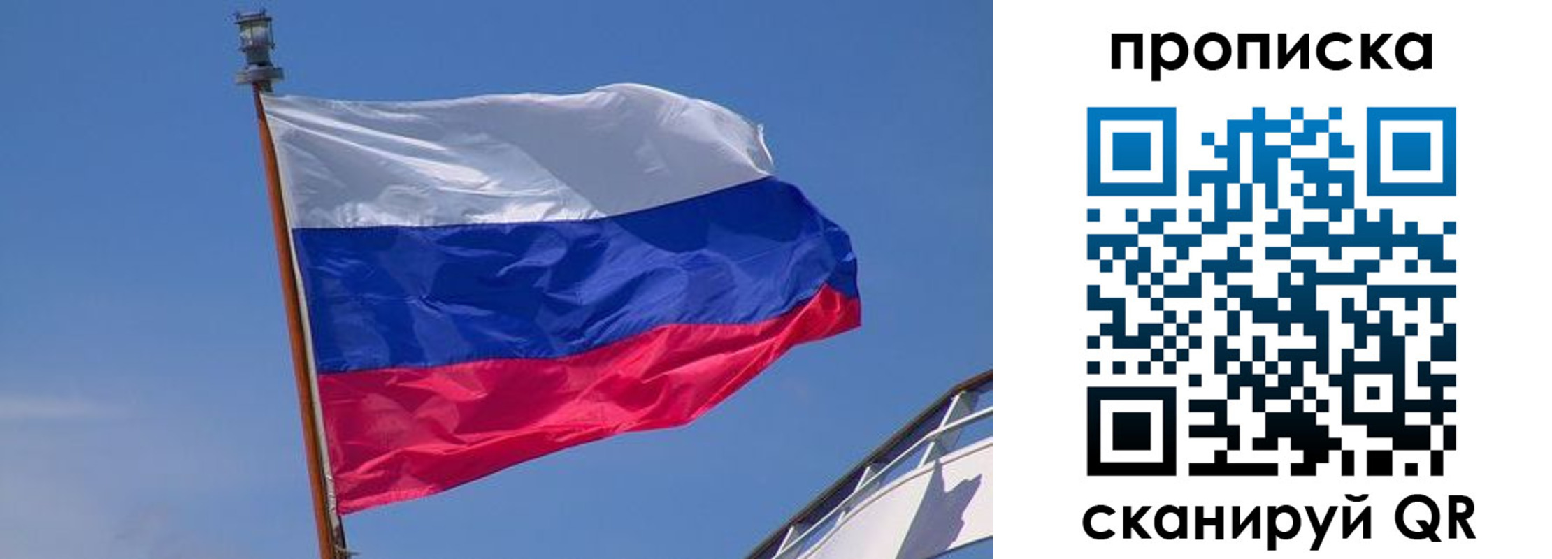 регистрация для школы в Владимирской области